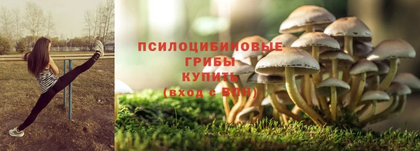 а пвп мука Белокуриха
